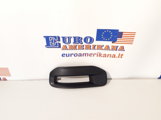 Bezel-Fog Lamp (left)
